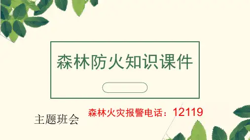 森林防火主题班会教学优质课件(共25张PPT)