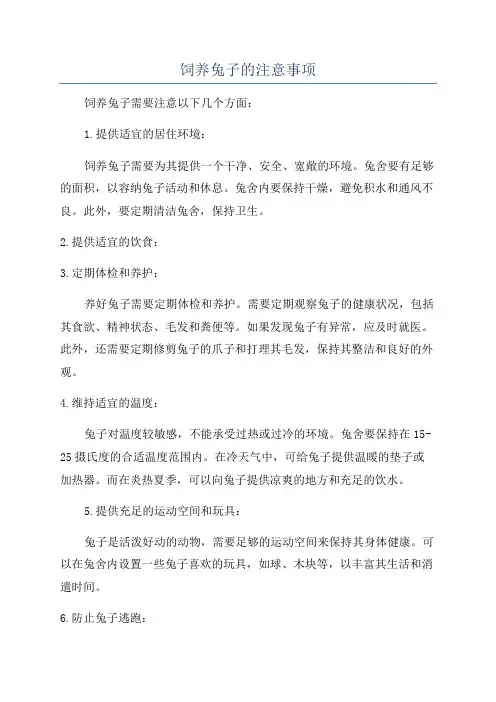 饲养兔子的注意事项