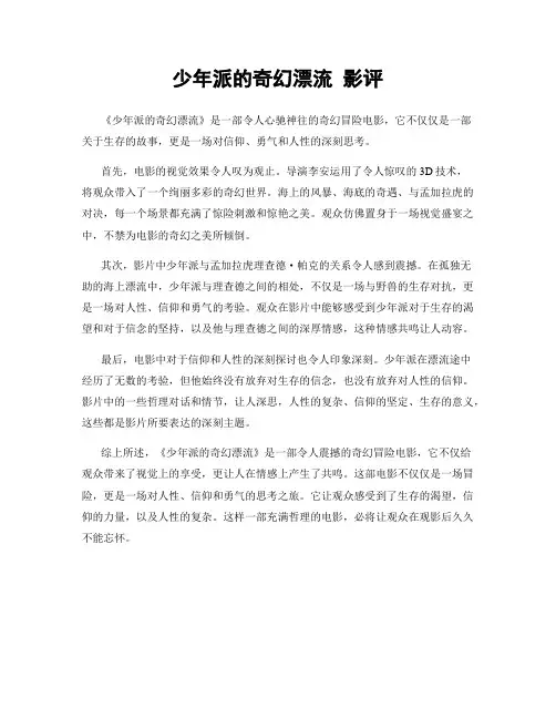 少年派的奇幻漂流 影评