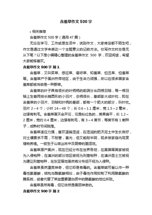 含羞草作文500字