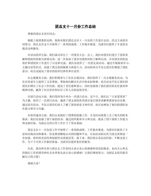 团总支十一月份工作总结
