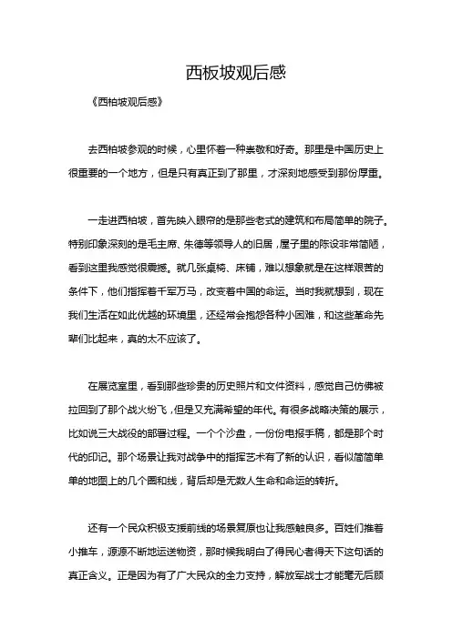 西板坡观后感