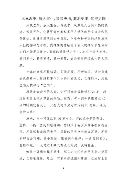 凤凰涅盘,浴火重生,其音更清,其羽更丰,其神更髓