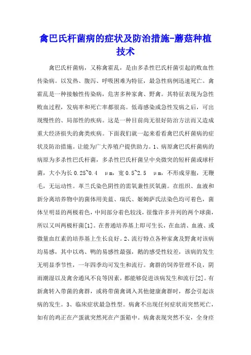 禽巴氏杆菌病的症状及防治措施 - 蘑菇种植技术
