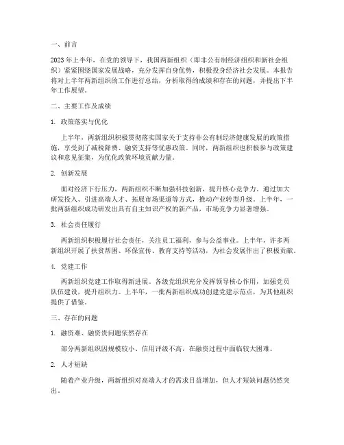 两新组织上半年工作总结