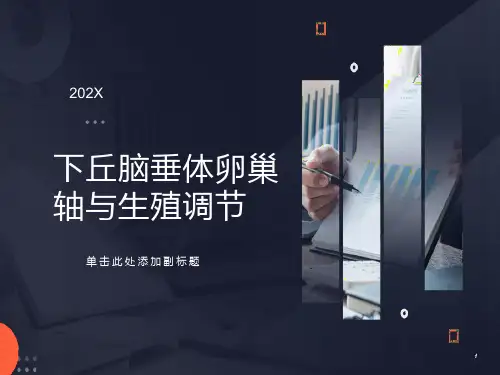 丘脑垂体性腺轴与生殖调节