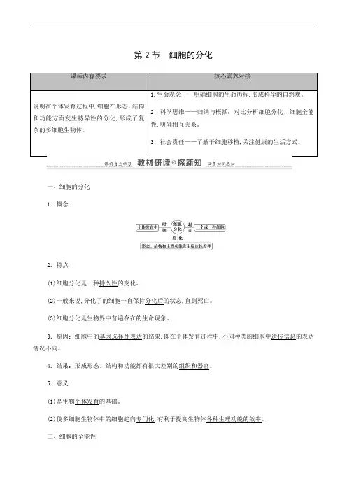人教版高中生物同步学习  细胞的分化