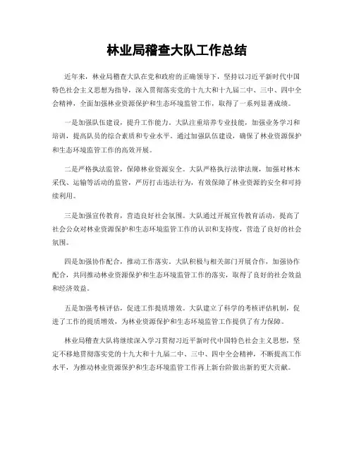 林业局稽查大队工作总结