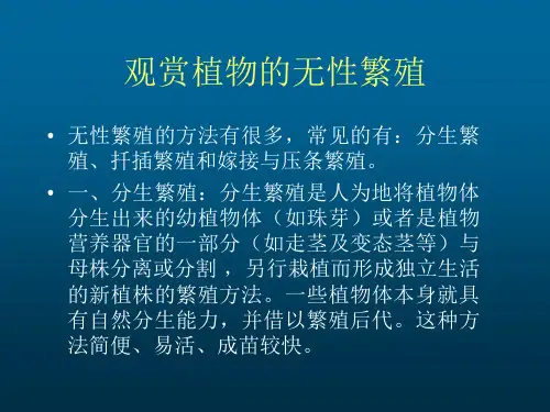 08.11无性繁殖