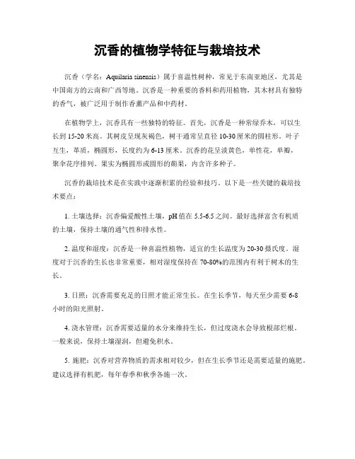 沉香的植物学特征与栽培技术