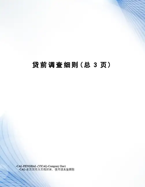 贷前调查细则