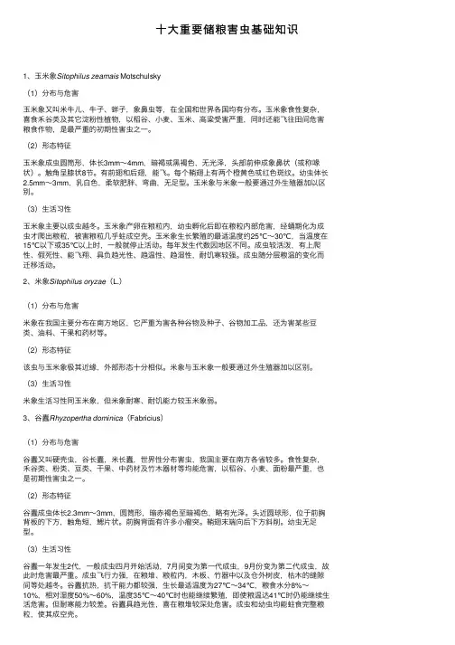 十大重要储粮害虫基础知识
