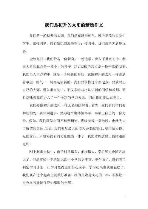 我们是初升的太阳的精选作文
