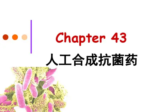 人工合成抗菌药PPT精品医学课件