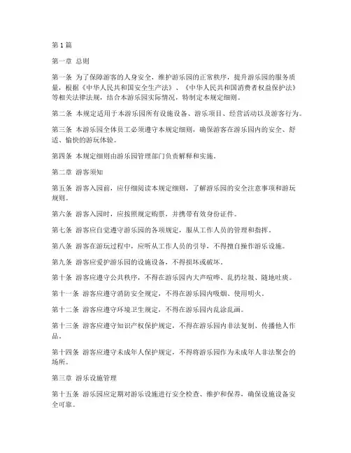 大型游乐园管理规定细则(3篇)