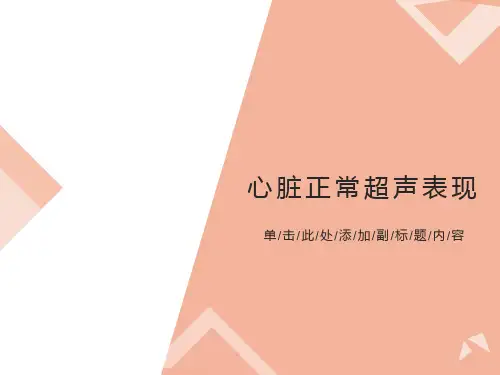 心脏正常超声表现