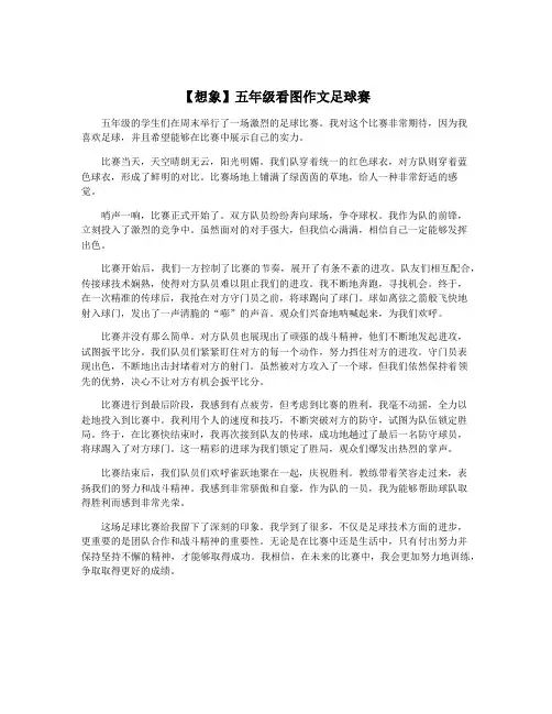 【想象】五年级看图作文足球赛