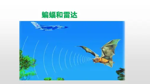 部编人教版小学四年级语文上册《蝙蝠和雷达》课件