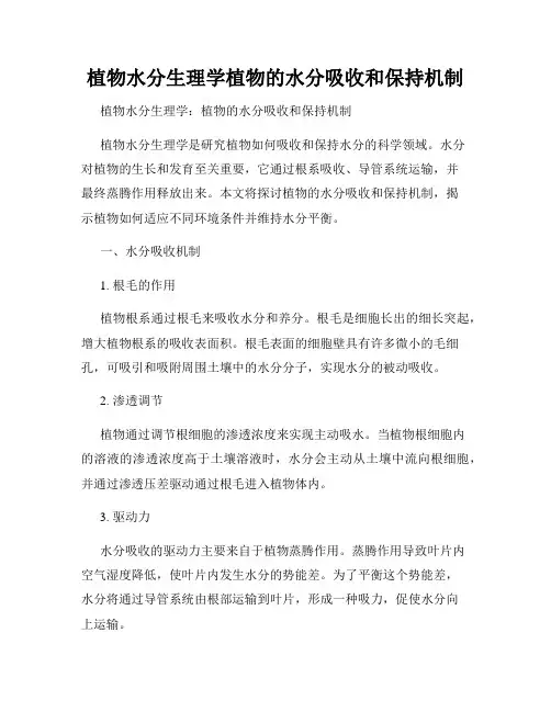 植物水分生理学植物的水分吸收和保持机制