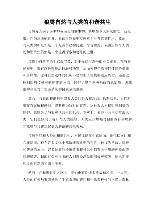 狼腾自然与人类的和谐共生