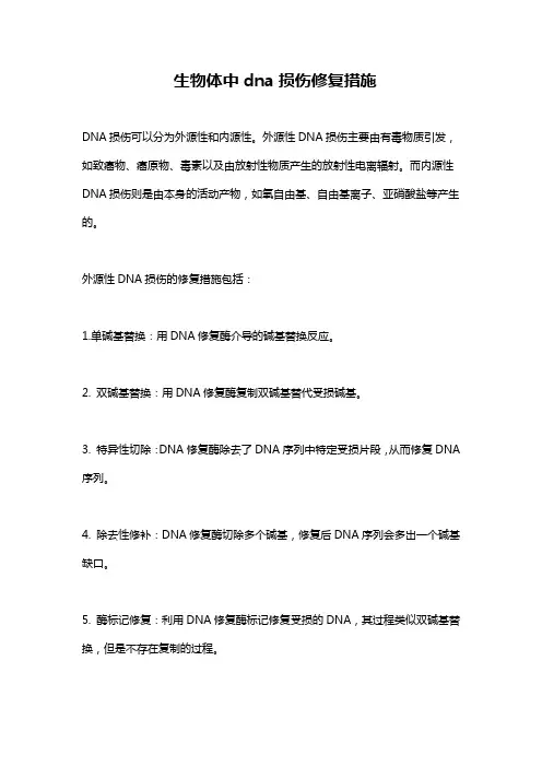 生物体中dna损伤修复措施