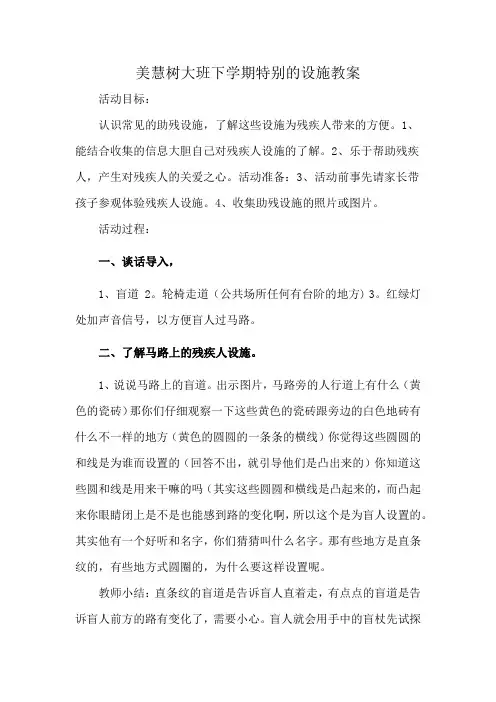 美慧树大班下学期特别的设施教案