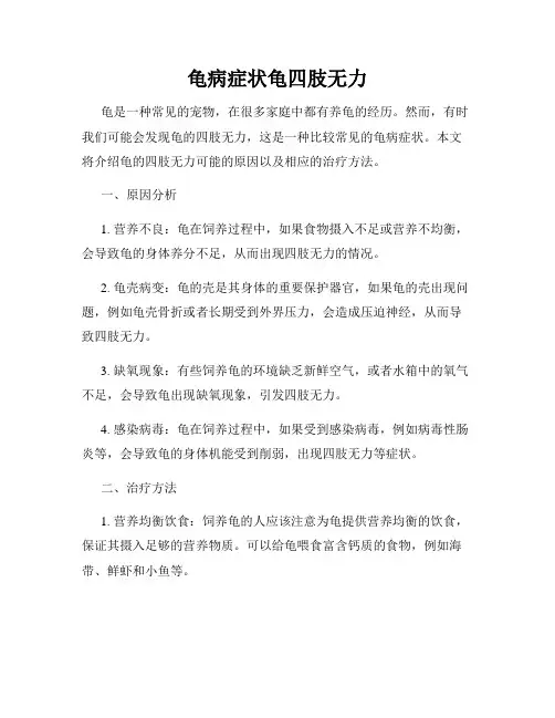 龟病症状龟四肢无力