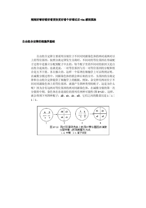 自由组合定律的细胞学基础