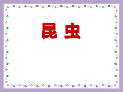 《昆虫》我们来养蚕(最新)ppt2