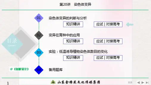 高中生物 第20讲 染色体变异