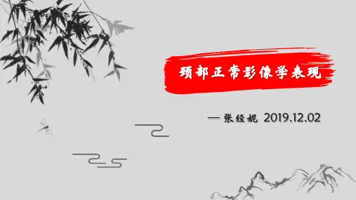 颈部正常影像学表现