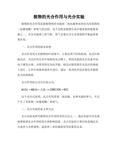 植物的光合作用与光合实验