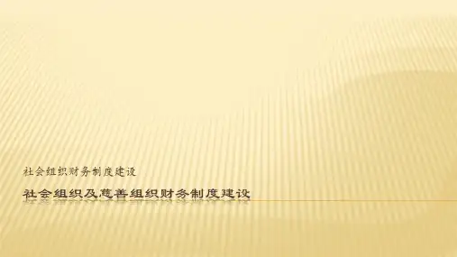 社会组织财务制度建设p(2)
