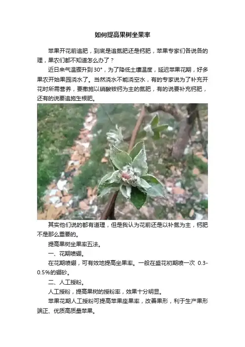 如何提高果树坐果率