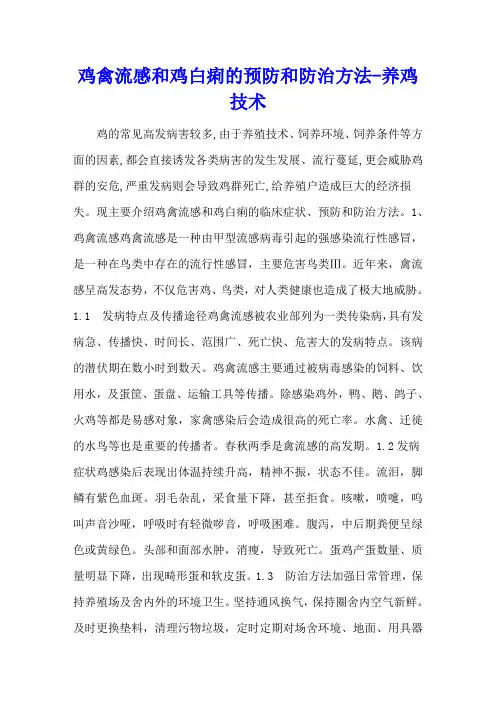 鸡禽流感和鸡白痢的预防和防治方法 - 养鸡技术