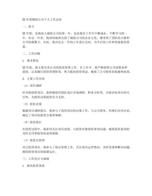 XX年度城投公司个人工作总结