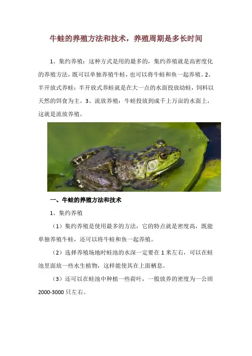牛蛙的养殖方法和技术,养殖周期是多长时间