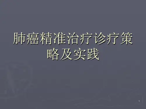 肺癌精准治疗诊疗策略及实践ppt课件