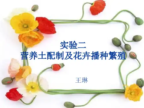 实验二  营养土配制及种子的繁殖