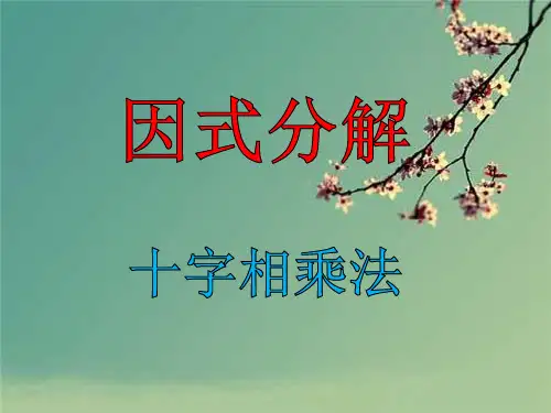 八年级数学上-十字相乘法.ppt