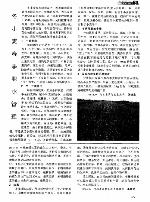 冬小麦春季肥水管理