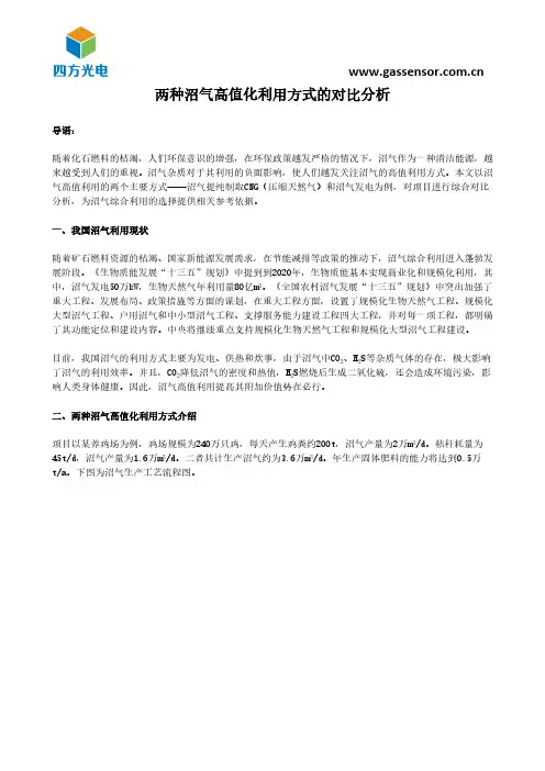 两种沼气高值化利用方式的对比分析