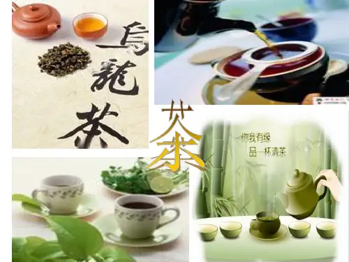中国茶文化基础知识ppt课件