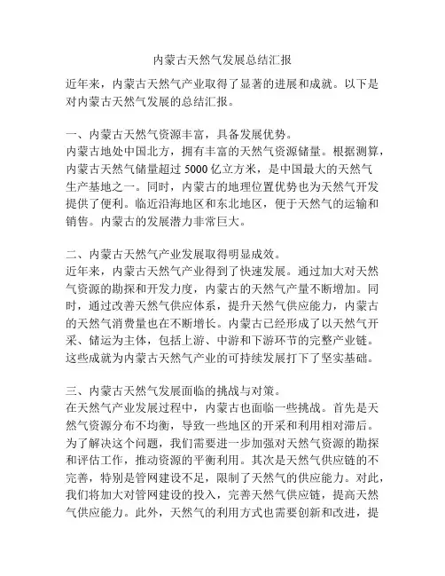 内蒙古天然气发展总结汇报