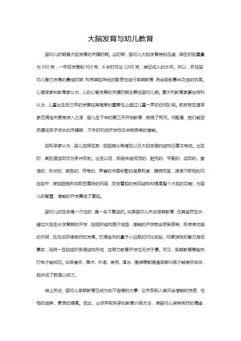 幼儿园：大脑发育与幼儿教育