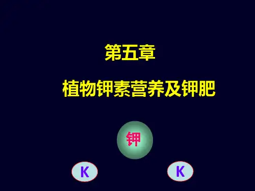 植物钾素营养及钾肥ppt课件教学教程