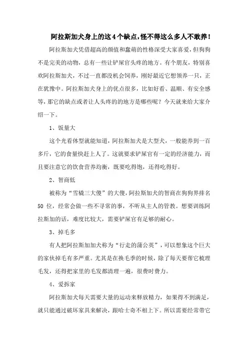 阿拉斯加犬身上的这4个缺点,怪不得这么多人不敢养!