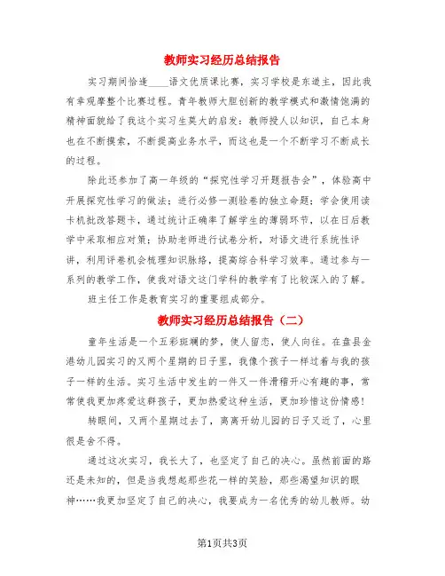 教师实习经历总结报告(3篇)