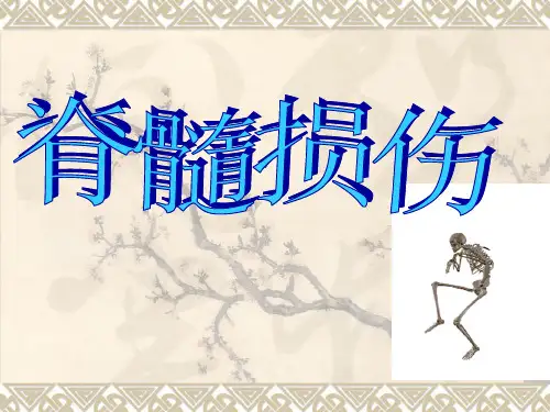 脊髓损伤