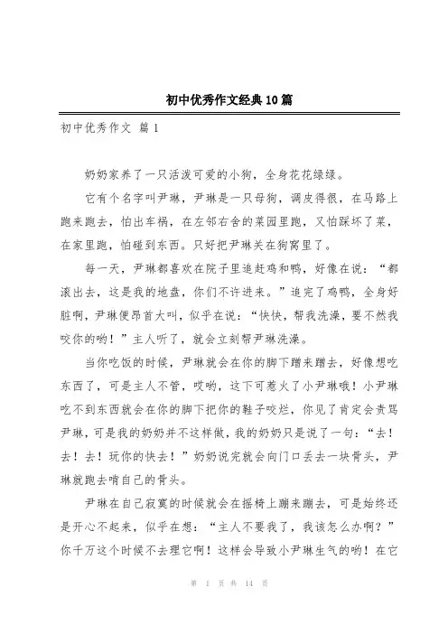 初中优秀作文经典10篇